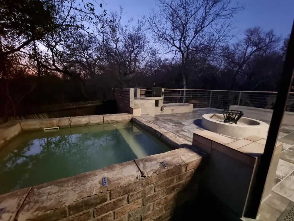 Private swimming pool with bushveld views